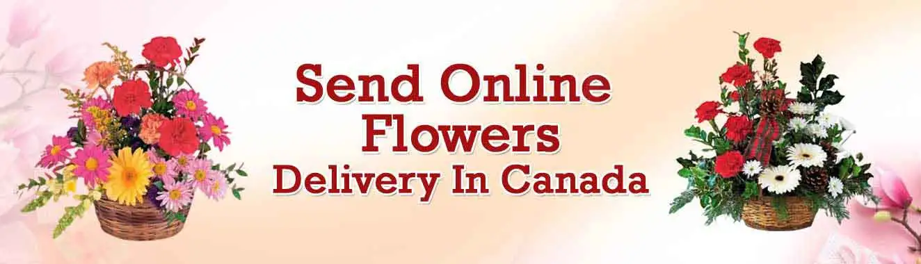 Send Gifts to Canada Online  Gift Delivery in Canada  FNP