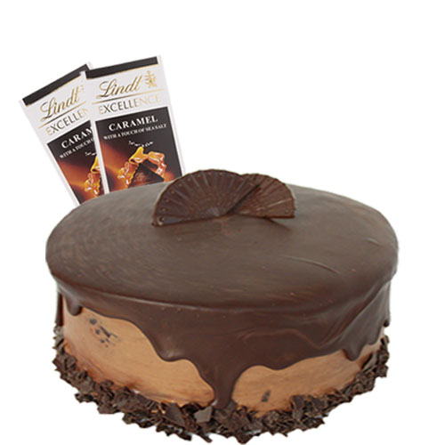 Dark Chocolate Fudge Cake with Chocolate  