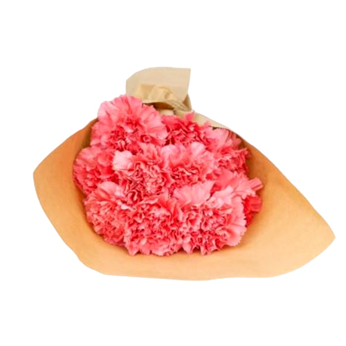 Small Light Pink Carnation Bouquet