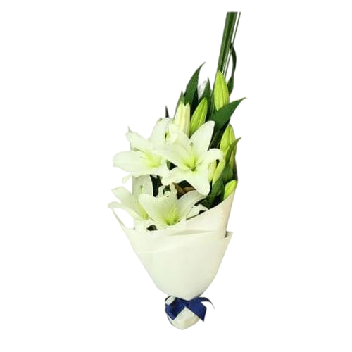 Small Size White Oriental Lilly