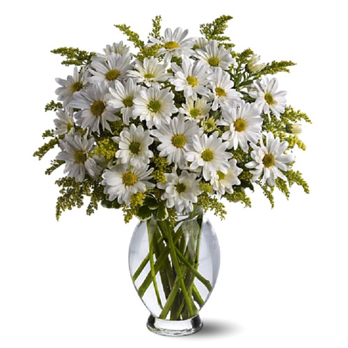 White Daisies Bouquet